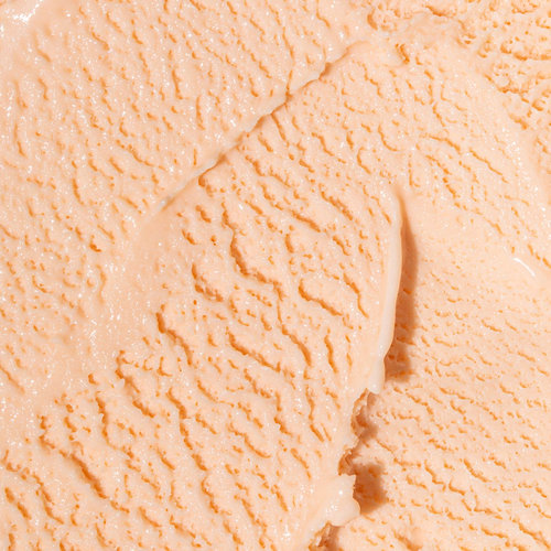 Tropical Bloom - Image 2